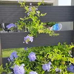 To Helidoni & Gardens 度假居 *